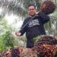 Seorang petani sawit di Riau terlihat usai panen di kebunnya.(ist)