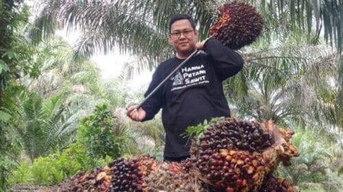 Seorang petani sawit di Riau terlihat usai panen di kebunnya.(ist)
