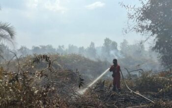 MataRiau.com - Seorang petugas terlihat tengah memadamkan api Karhutla di Riau.(ist)
