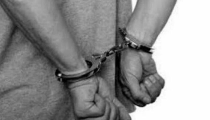 Cabuli Wanita Disabilitas, Pria di Pelalawan Ditangkap Polisi Setelah Buron