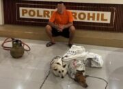 Polisi Bongkar Praktik Penyembelihan Anjing di Bagan Batu, Dua Ekor Diselamatkan