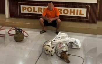 Polisi Bongkar Praktik Penyembelihan Anjing di Bagan Batu, Dua Ekor Diselamatkan