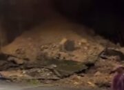 Longsor di Kelok Sembilan, Lalin Sumbar – Riau Lumpuh