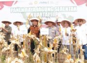 Polda Riau Panen Raya Jagung di Pekanbaru