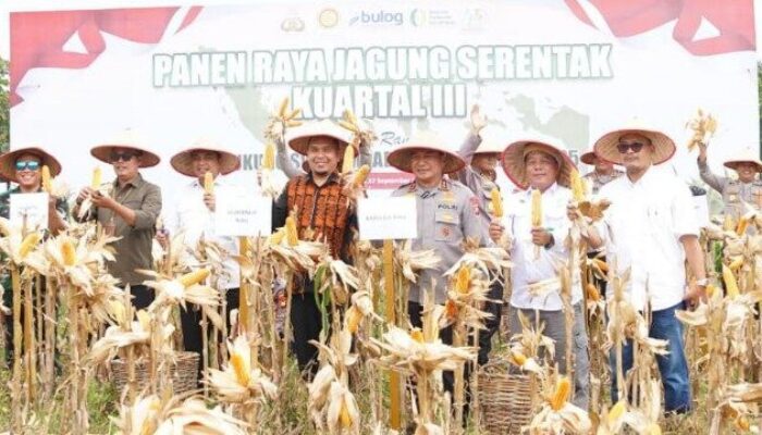 Polda Riau Panen Raya Jagung di Pekanbaru
