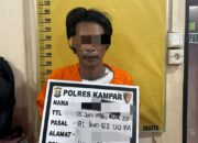 Pria di Kampar Ditangkap usai Cabuli Anak Tirinya yang Dibawa Umur