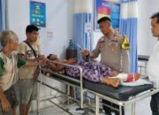 Tiga Harimau Sumatera Serang Petani Damar di Pedalaman Inhu