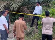 Warga Kampar Geger, Bayi Laki-laki Ditemukan Tak Bernyawa dalam Kantong Plastik Merah