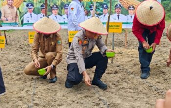 Wujudkan Swasembada Pangan, Polsek LBJ Tanam Jagung di Lahan 10 Hektare