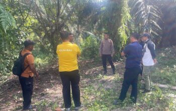 Bocah SD yang Sebelumnya Diserang Gajah Liar Dinyatakan Meninggal Dunia