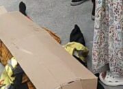 Driver Ojol Tewas dalam Kecelakaan Maut di Pekanbaru