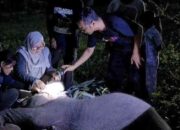 Anak Gajah Mati di Bengkalis, BBKSDA Riau Lakukan Nekropsi